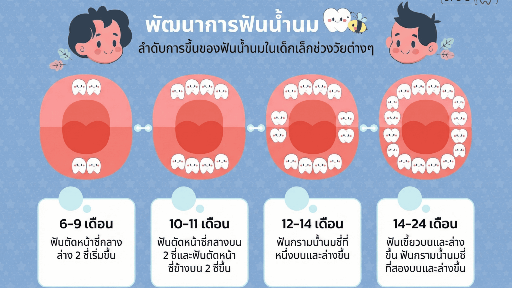 พัฒนาการฟันน้ำนม (1)