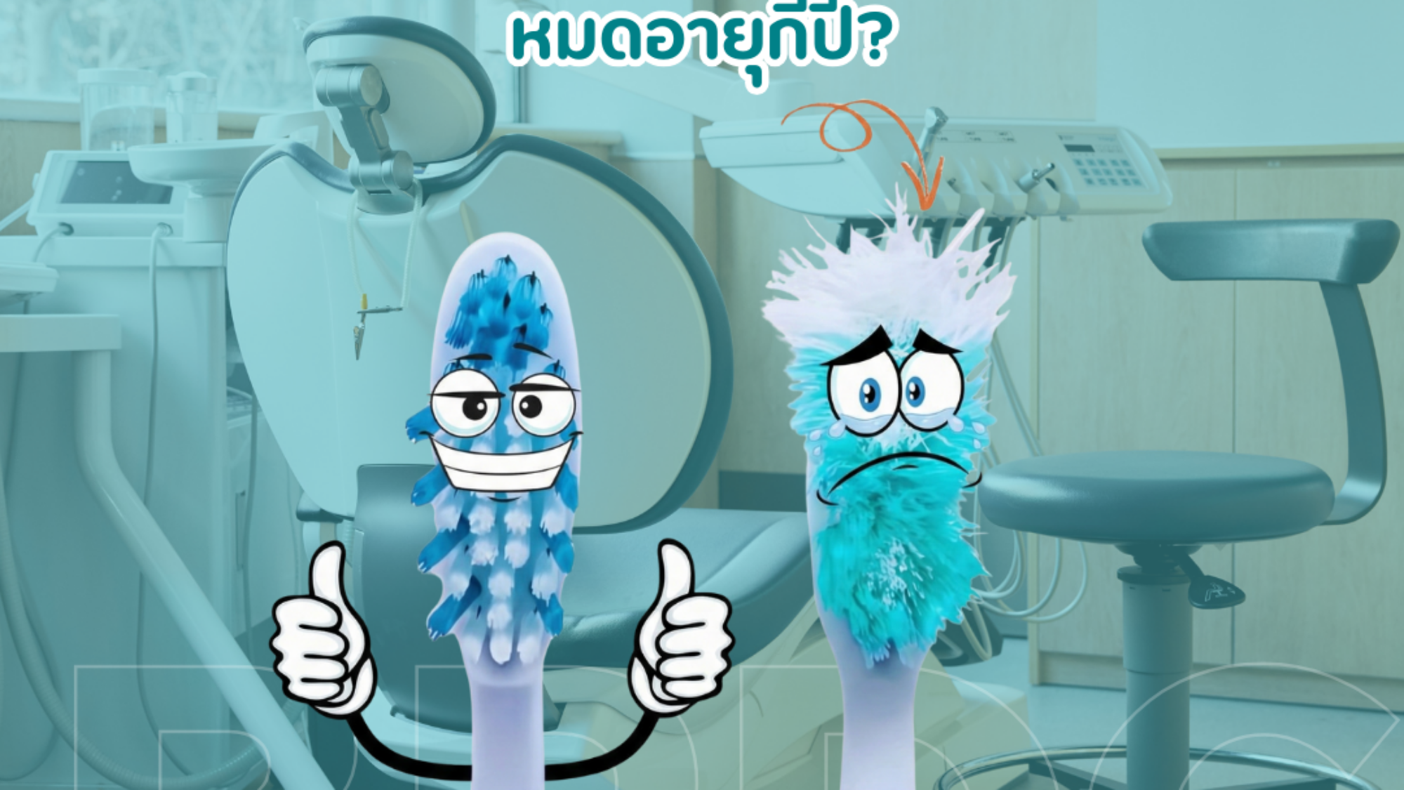 แปรงสีฟัน หมดอายุ กี่ ปี