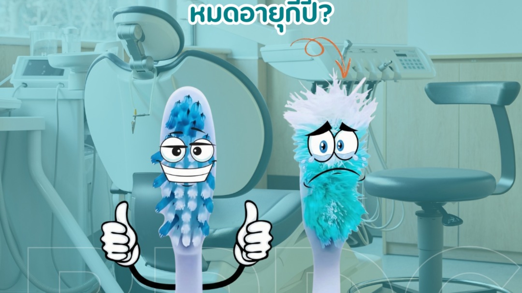 แปรงสีฟันหมดอายุกี่ปี