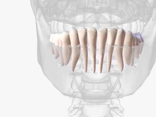 การปลูกกระดูกฟันคืออะไร